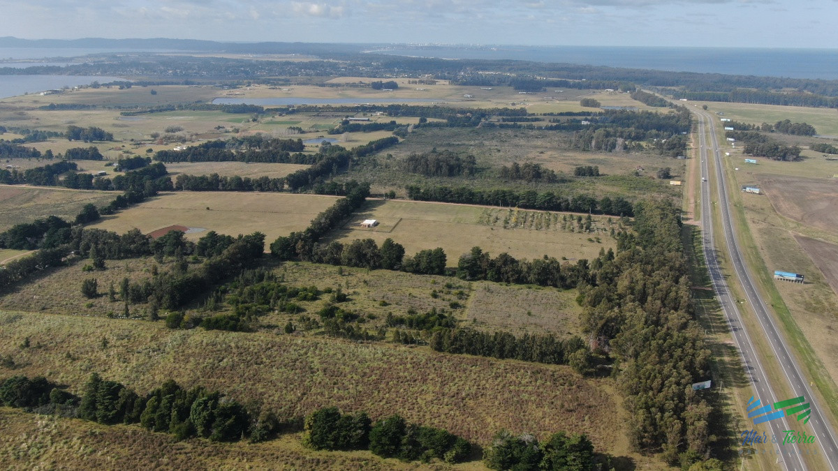 Chacra ID.3991 - Única chacra con producción de arándanos en laguna del sauce