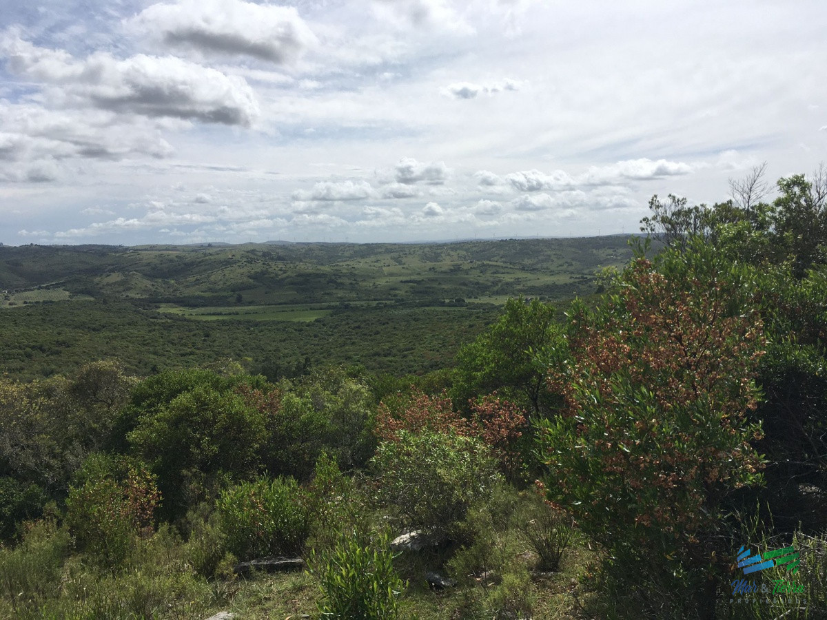 Chacra ID.4144 - Chacras con vistas increibles, monte nativo, naturaleza y tranquilidad