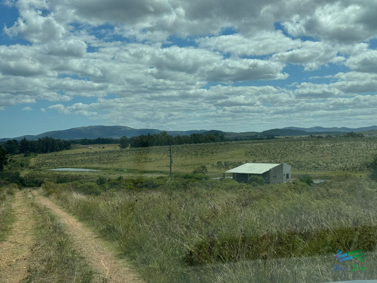 Chacra ID.5738 - En venta chacra 20 hectareas con Olivos en Ruta 9 cerca de Pan de Azúcar.
