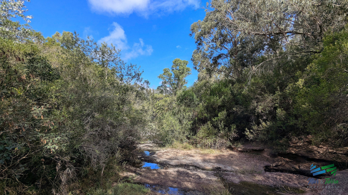 Chacra ID.5688 - Venta de chacra de 10 has frente al mar en Las Flores Piriapolis Maldonado