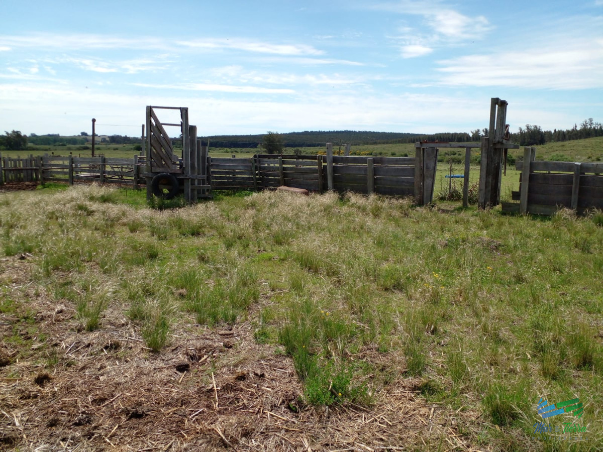 Chacra ID.4577 - 20 Has con Casa, sobre Ruta 12.