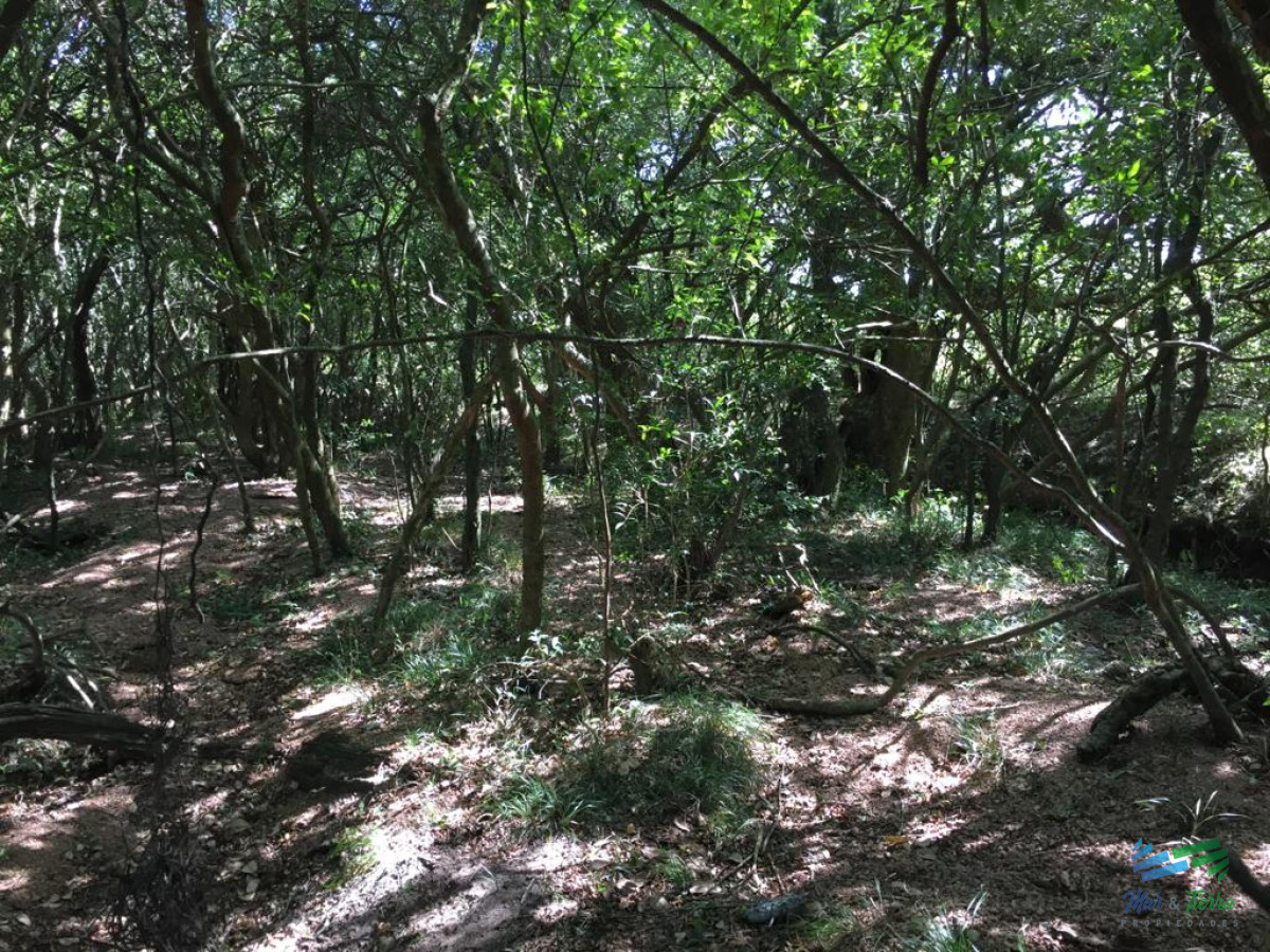 Chacra ID.3672 - 5 Has en La Pataia