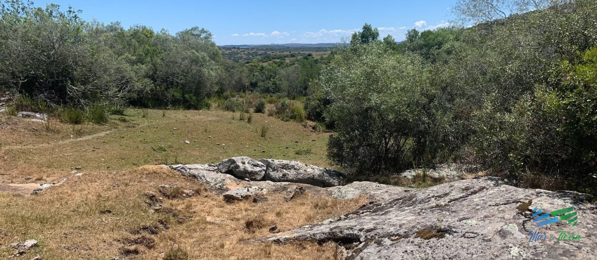 Chacra ID.4354 - Chacras en Aigua, Ruta 109, Descanso, Paz y Vistas Increíbles !