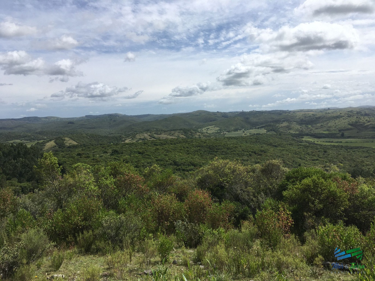 Chacra ID.4144 - Chacras con vistas increibles, monte nativo, naturaleza y tranquilidad