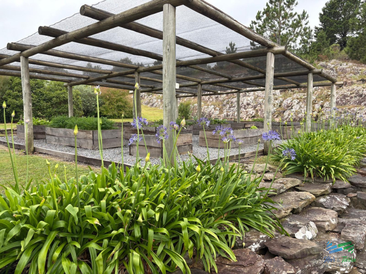 Chacra ID.5646 - Se alquila chacra a 25 minutos de Punta del Este y con las mejores vistas de la laguna del sauce!!!