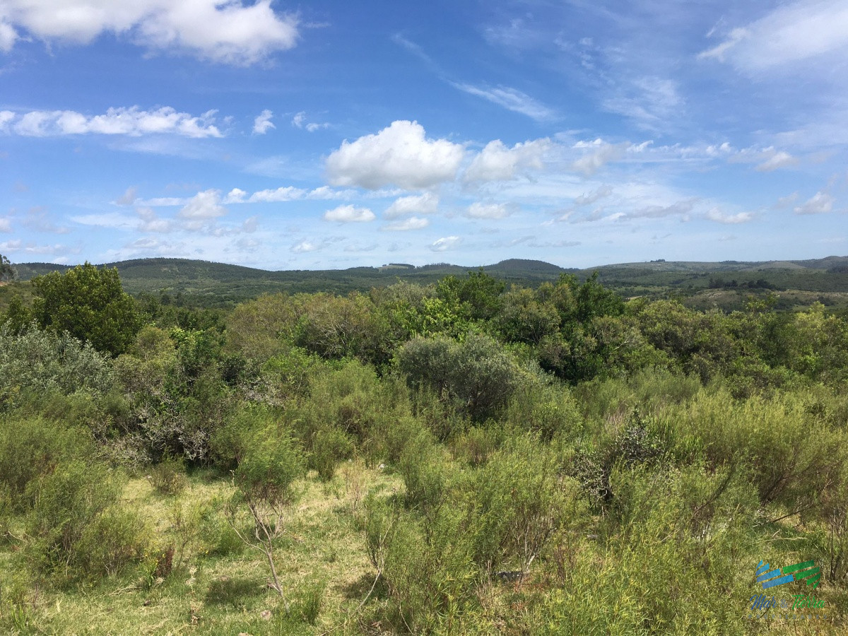 Chacra ID.4144 - Chacras con vistas increibles, monte nativo, naturaleza y tranquilidad