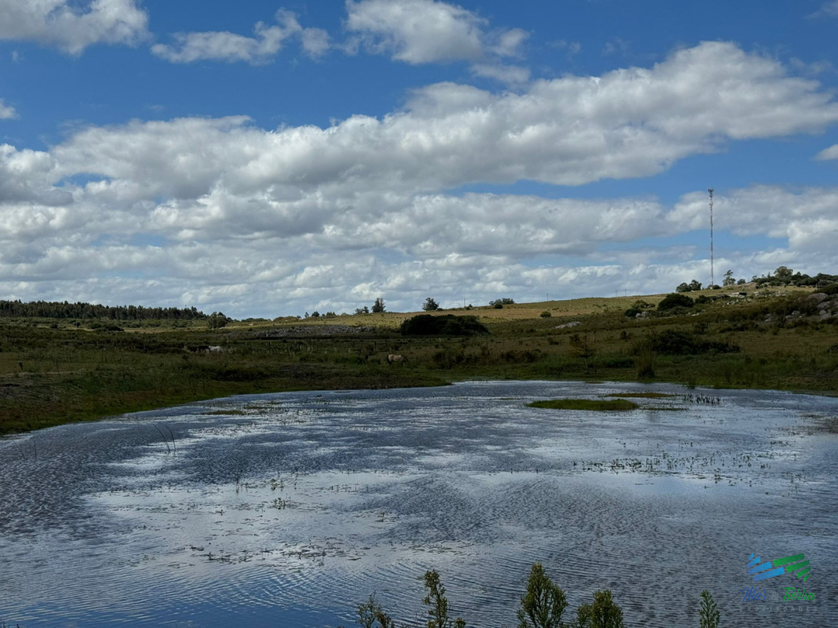 Chacra ID.5738 - En venta chacra 20 hectareas con Olivos en Ruta 9 cerca de Pan de Azúcar.