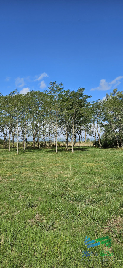 Zona Rural - GoPunta - Portal Inmobiliario de Punta del Este - Maldonado