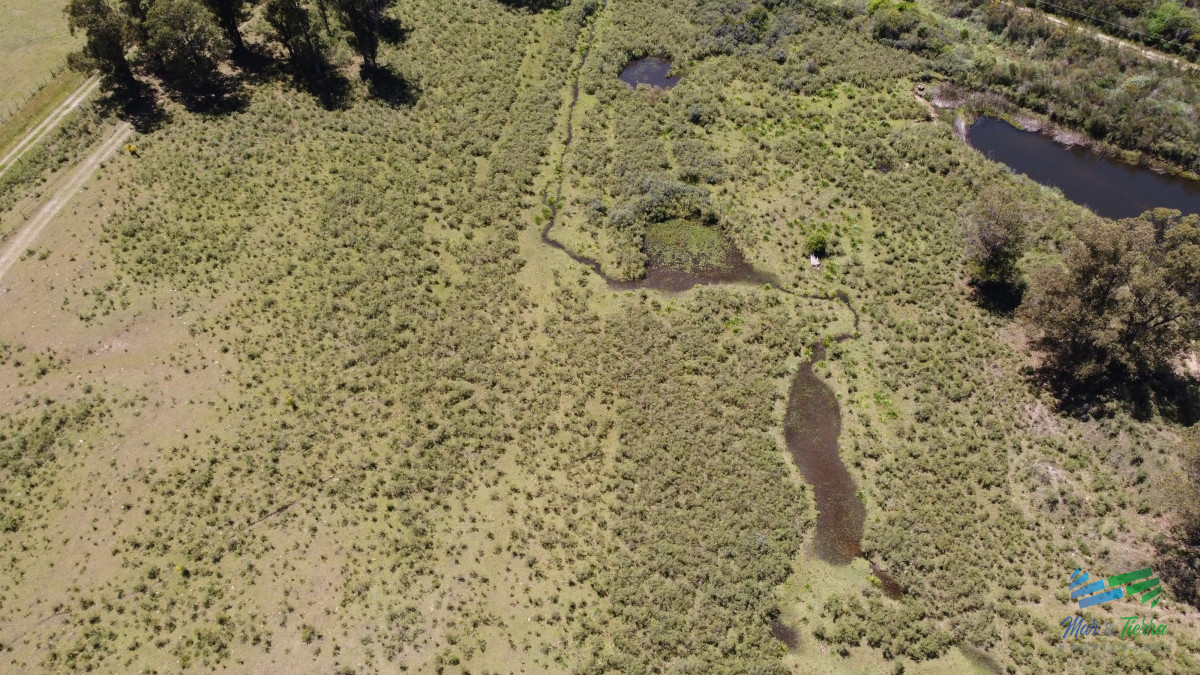 Chacra ID.4349 - Vendo chacra ruta 9, cerca de Pan de Azúcar, Maldonado. A 45´ de Punta del Este. Financia.