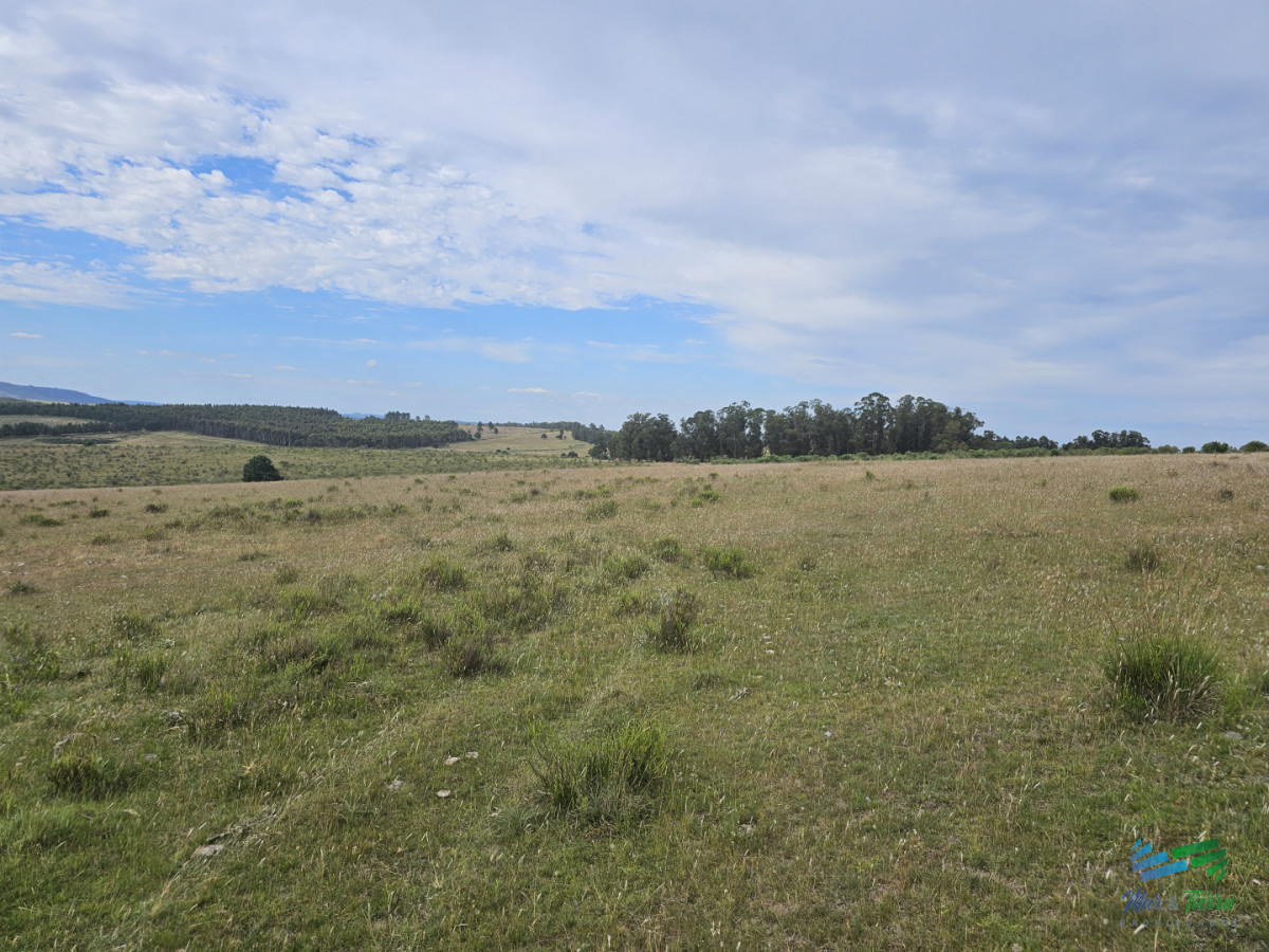 Chacra ID.5635 - En venta chacra 3 hectareas, proxima ruta 39, a pocos km de San Carlos.