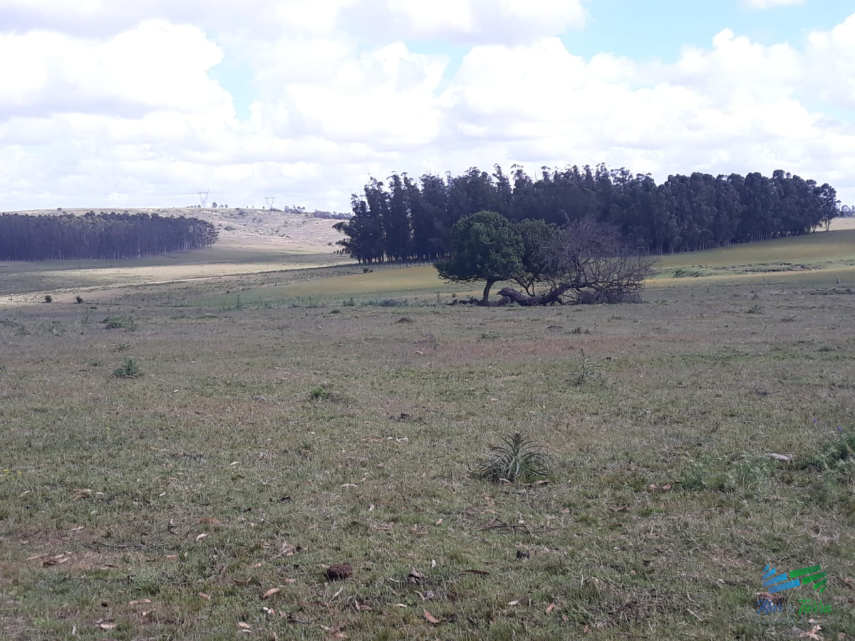 Chacra ID.4492 - 18 Has R.39 a 30 Kms de Punta y pocos minutos de R.9