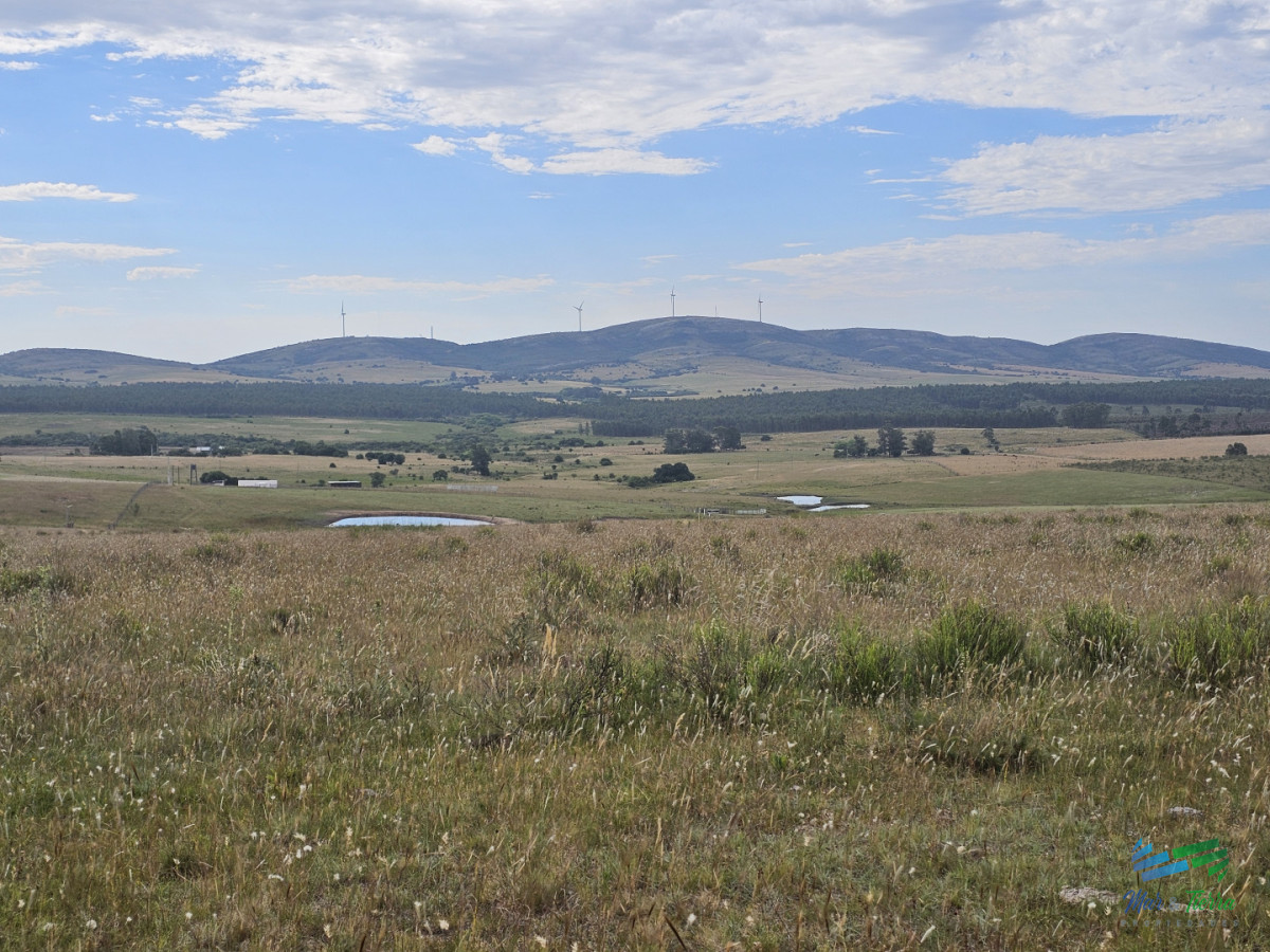 Chacra ID.5629 - En venta chacra 3 hectareas, proxima ruta 39, a pocos km de San Carlos.