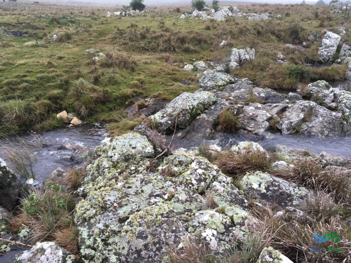 Chacra ID.3922 - BAJO DE PRECIO...25 Has, excelente ubicación Ruta 12, arroyo y vistas increibles