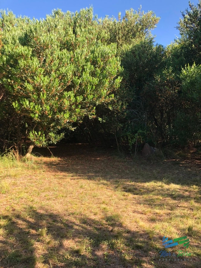 Chacra ID.4324 - Bajo de Precio ! Chacra 5 Has con casa y las mejores vistas de las sierras a 50 minutos de Punta !