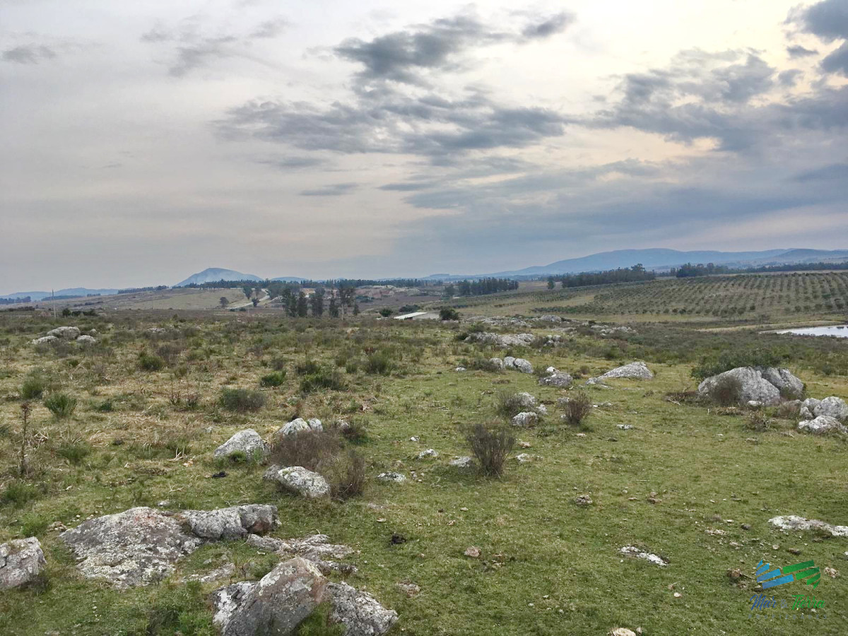 Chacra ID.3098 - Vendo chacras en Ruta 9, entre ruta 12 y Pan de Azucar, Maldonado. FINANCIO.