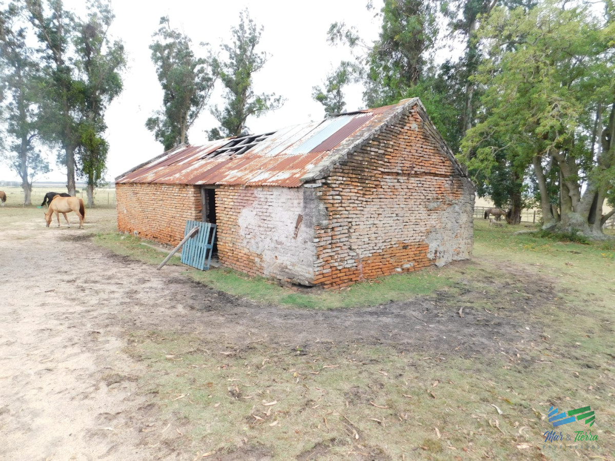 Chacra ID.3680 - 31 Has con casa R.9 (frente entrada Garzon)