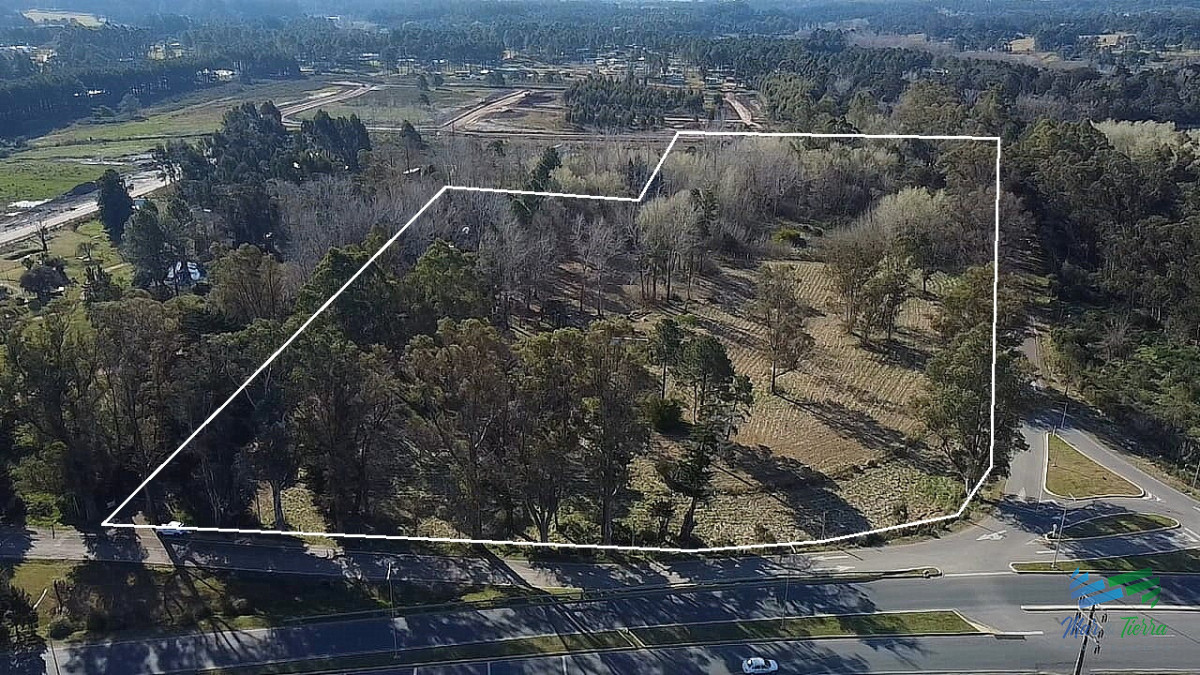 Chacra ID.5438 - Venta de chacra en Camino Lussich Punta Ballena 