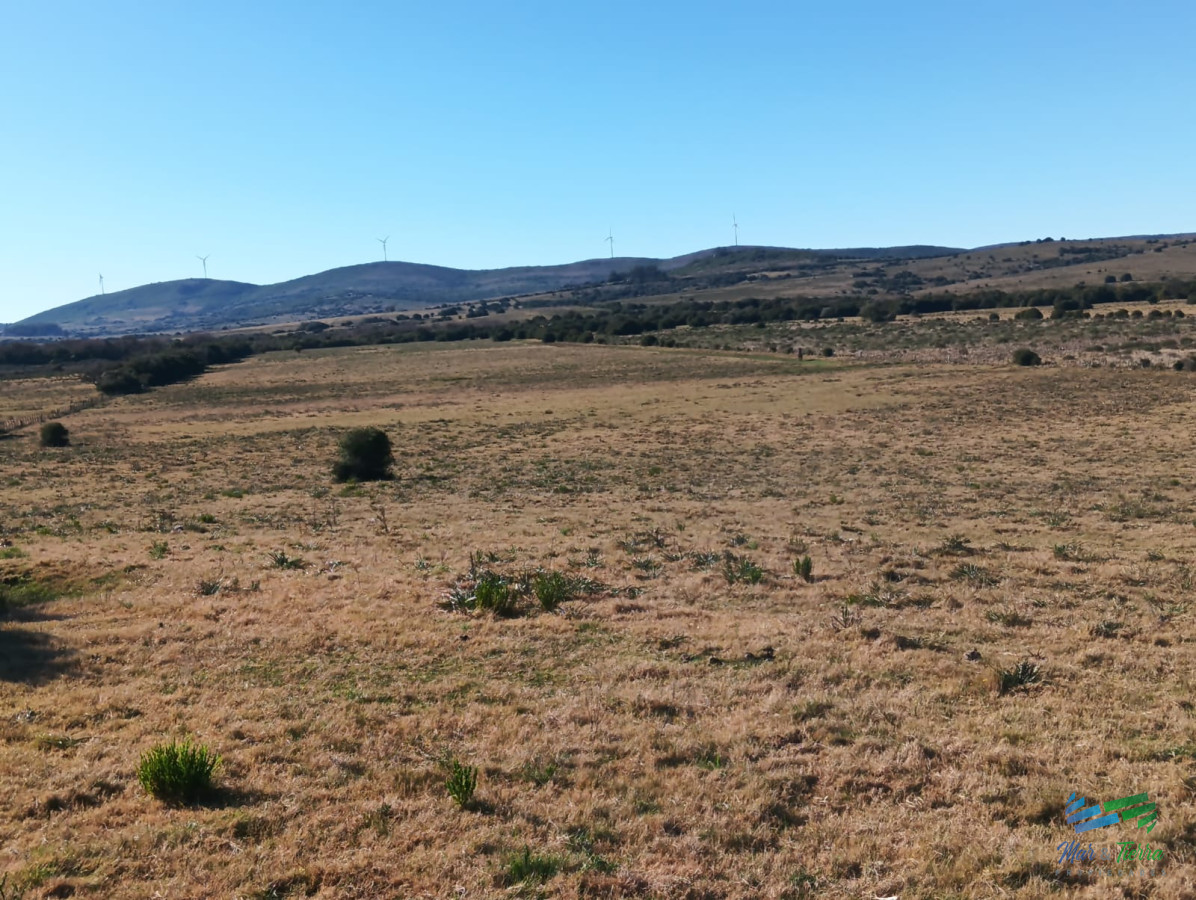 Chacra ID.5392 - Simpatica cabaña en 11 Has con costa de arroyo Mataojo a tan solo 30 minutos de Punta