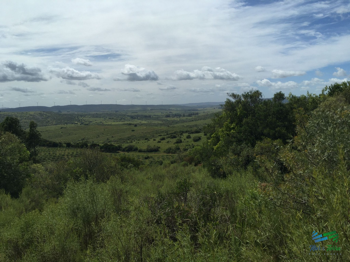 Chacra ID.4144 - Chacras con vistas increibles, monte nativo, naturaleza y tranquilidad