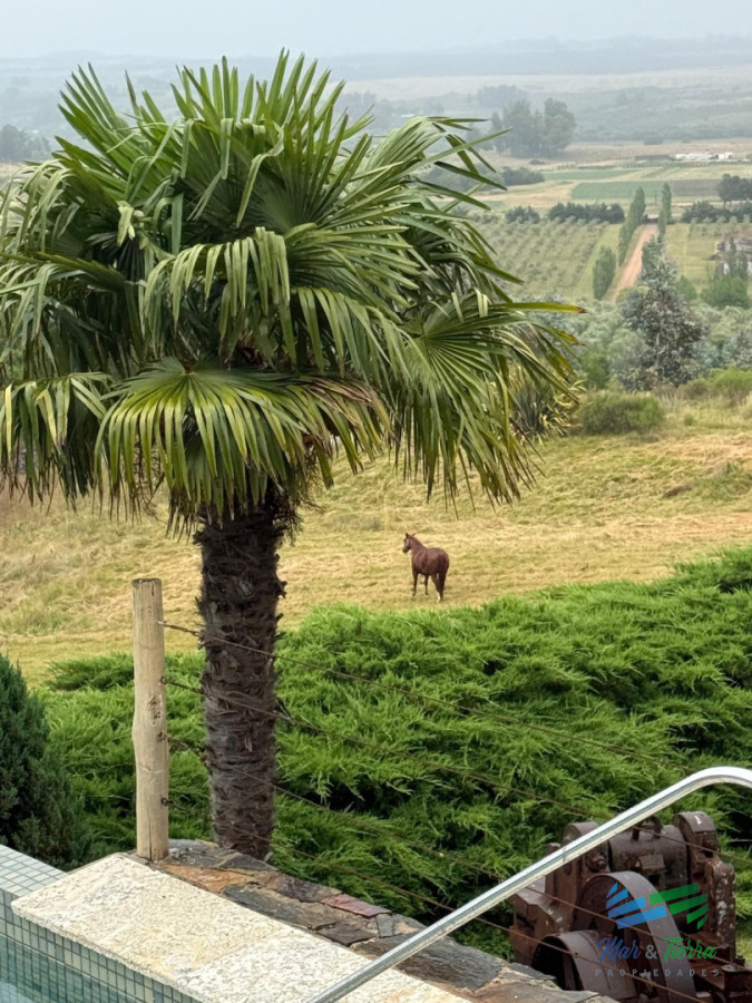 Chacra ID.5646 - Se alquila chacra a 25 minutos de Punta del Este y con las mejores vistas de la laguna del sauce!!!