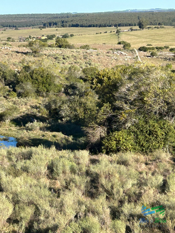Chacra ID.5369 - Chacras de 5 Has en la Sierras, Financia hasta 6 años con una entrega del 20%