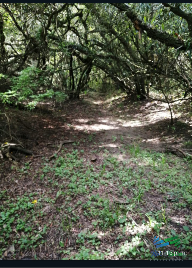 Chacra ID.4323 - Chacra con arroyo y monte nativo a 10 minutos de San Carlos y 25 de Punta