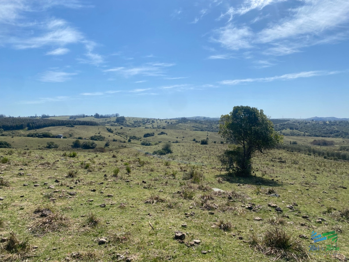 Chacra ID.4546 - Chacras con vistas Únicas, Olivos, Sierras y descanso... !! Atención Precio Rebajado !!