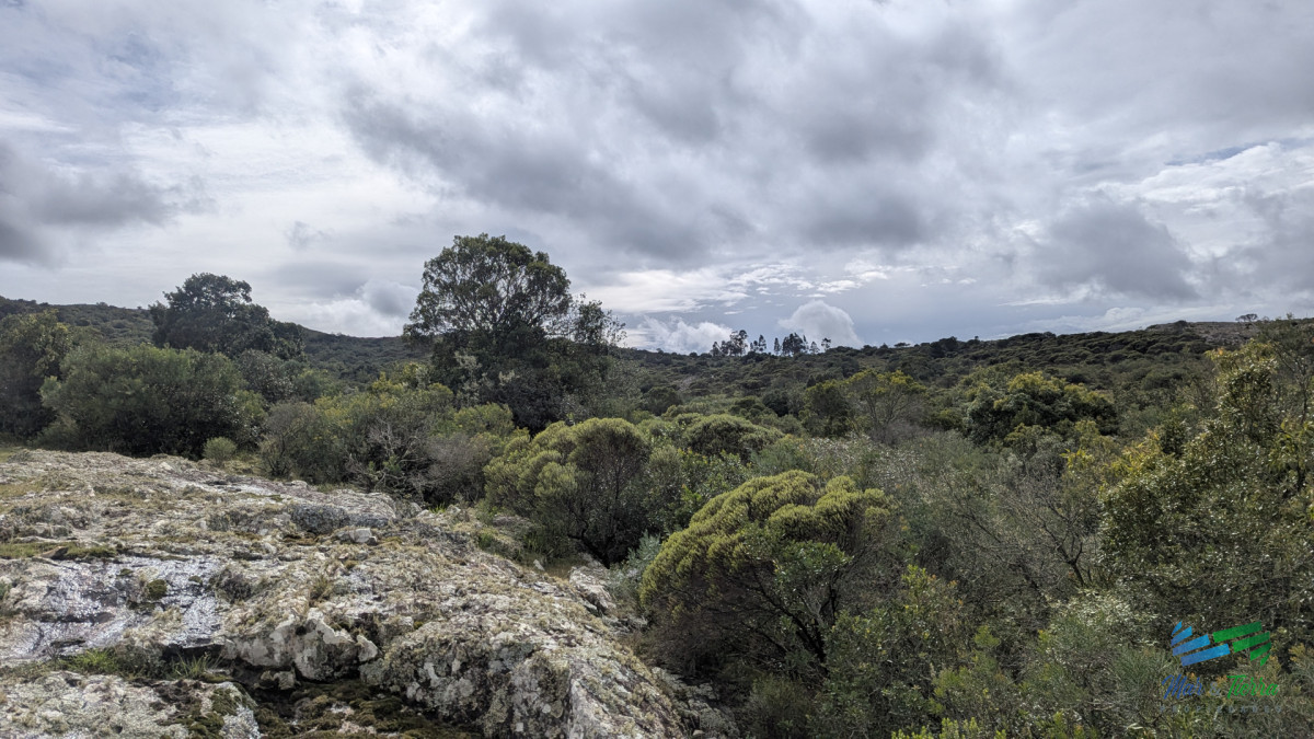 Chacra ID.5600 - Venta de chacra de 3 hs ruta 39 zona Sierra de los Caracoles 