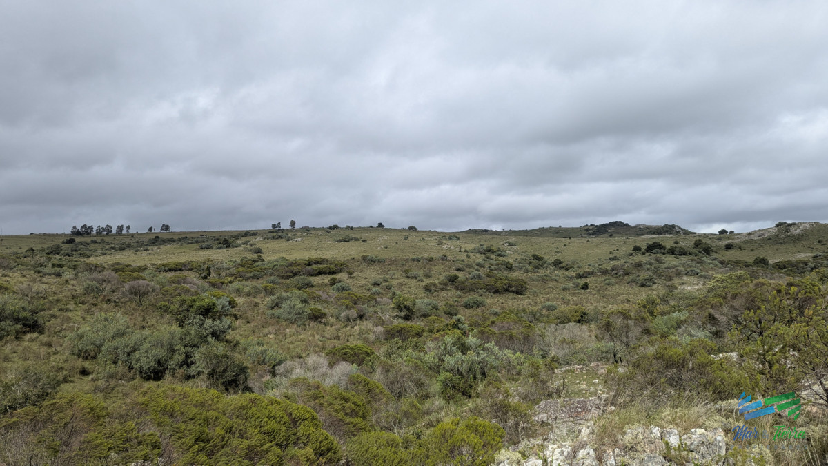 Chacra ID.5600 - Venta de chacra de 3 hs ruta 39 zona Sierra de los Caracoles 