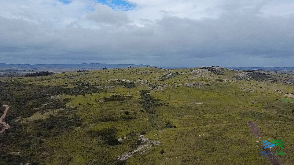 Chacra ID.5600 - Venta de chacra de 3 hs ruta 39 zona Sierra de los Caracoles 