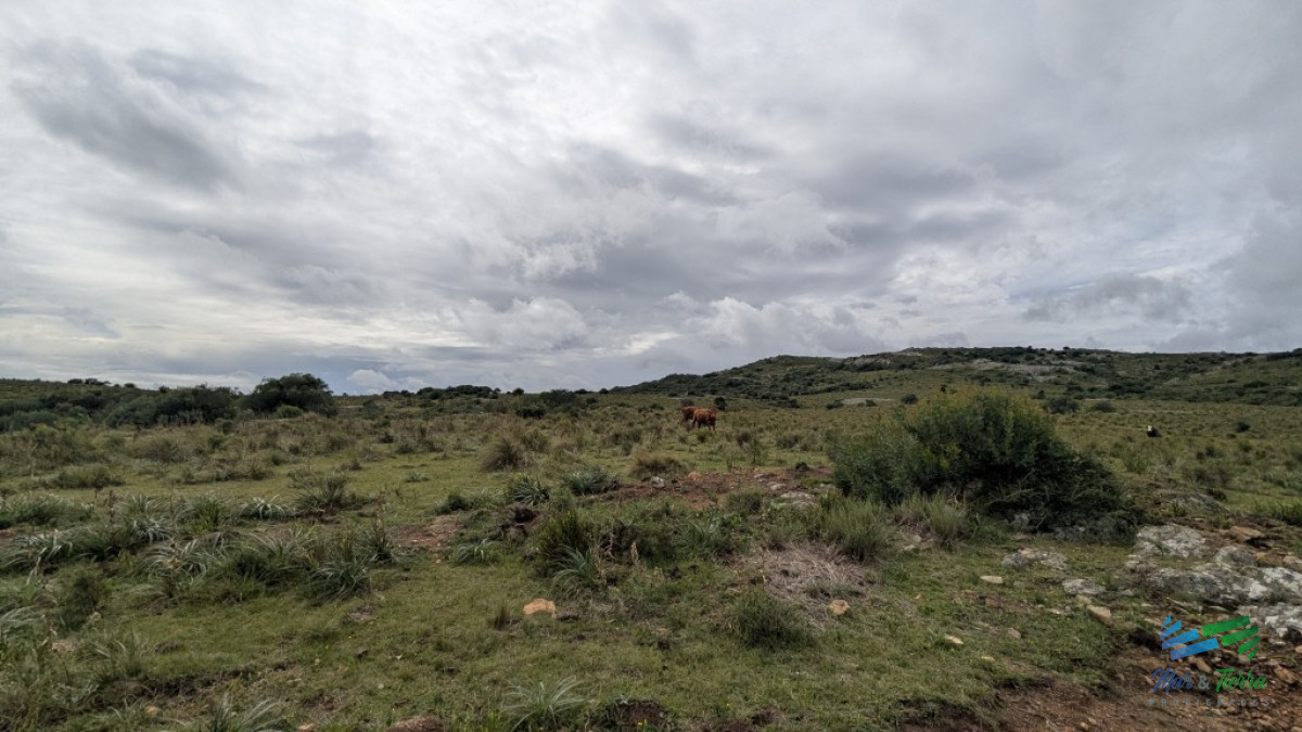 Chacra ID.5604 - Venta en Sierra de los Caracoles 3 has Ruta 39 Maldonado 