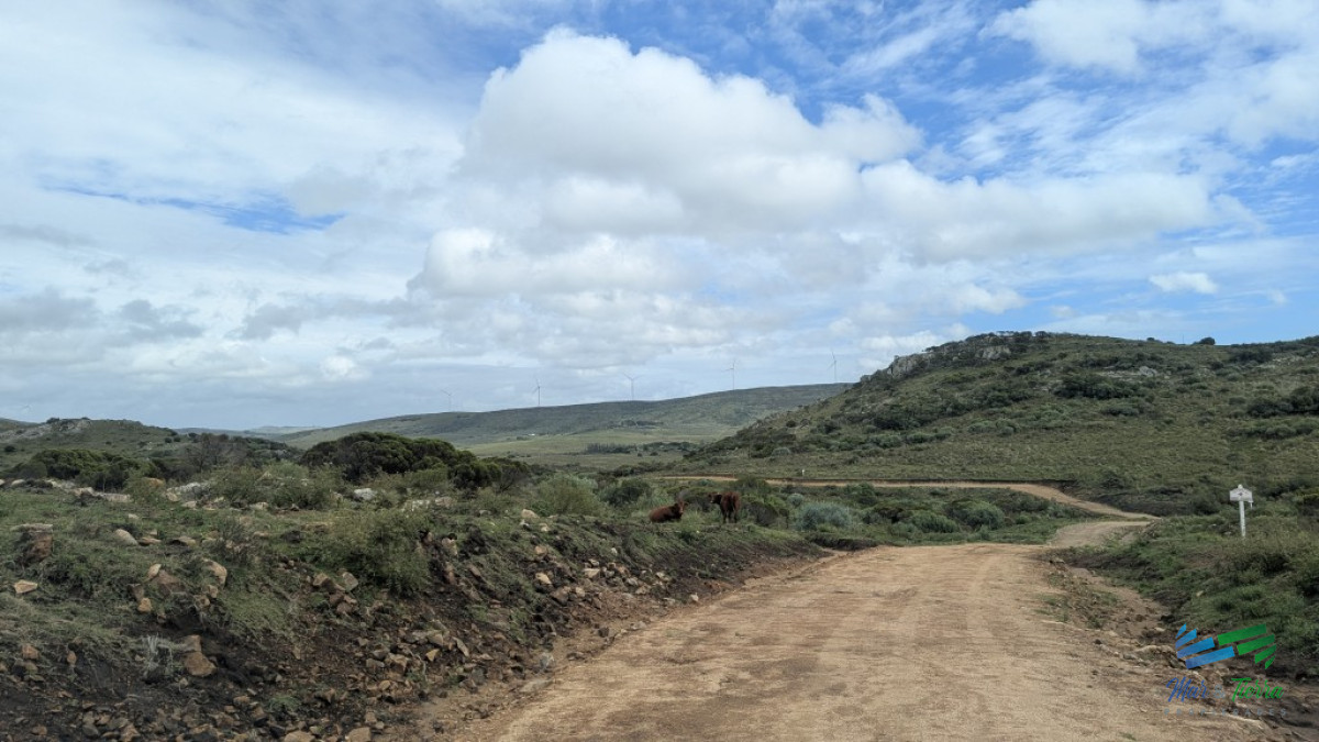 Chacra ID.5604 - Venta en Sierra de los Caracoles 3 has Ruta 39 Maldonado 