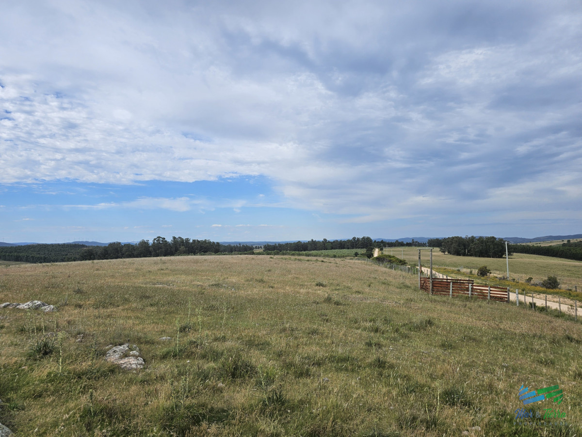 Chacra ID.5628 - En venta chacra 3 hectareas, proxima ruta 39, a pocos km de San Carlos.