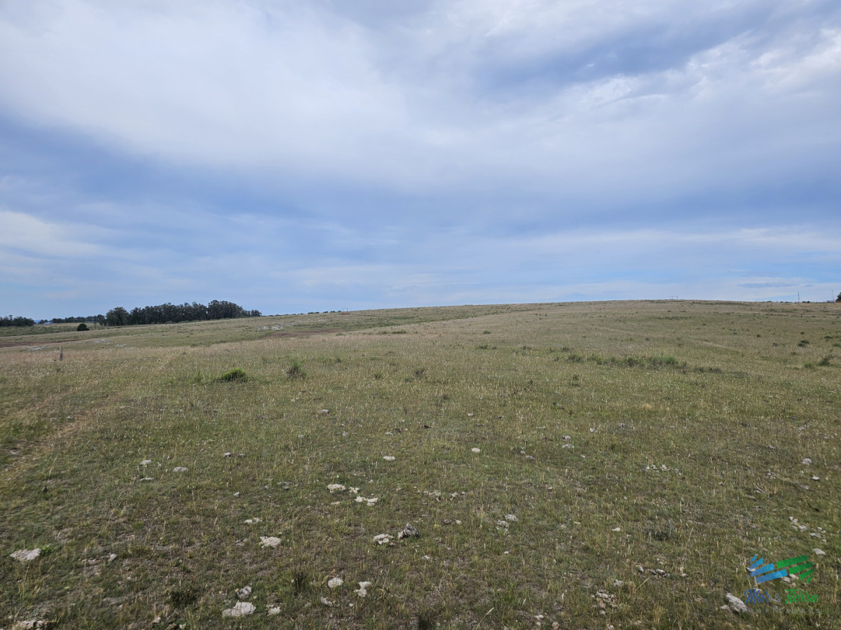Chacra ID.5633 - En venta chacra 3 hectareas, proxima ruta 39, a pocos km de San Carlos.