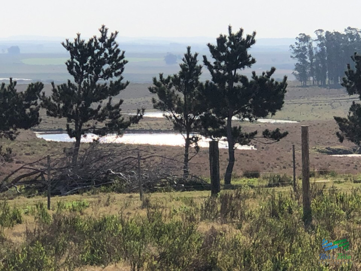 Las Garzas - GoPunta - Portal Inmobiliario de Punta del Este - Maldonado