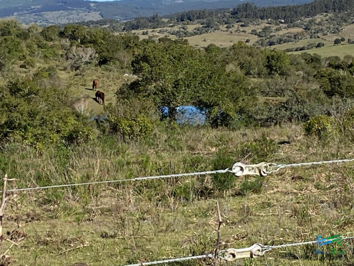 Chacra ID.2869 - En venta, chacra con vistas panorámicas y monte nativo !!!