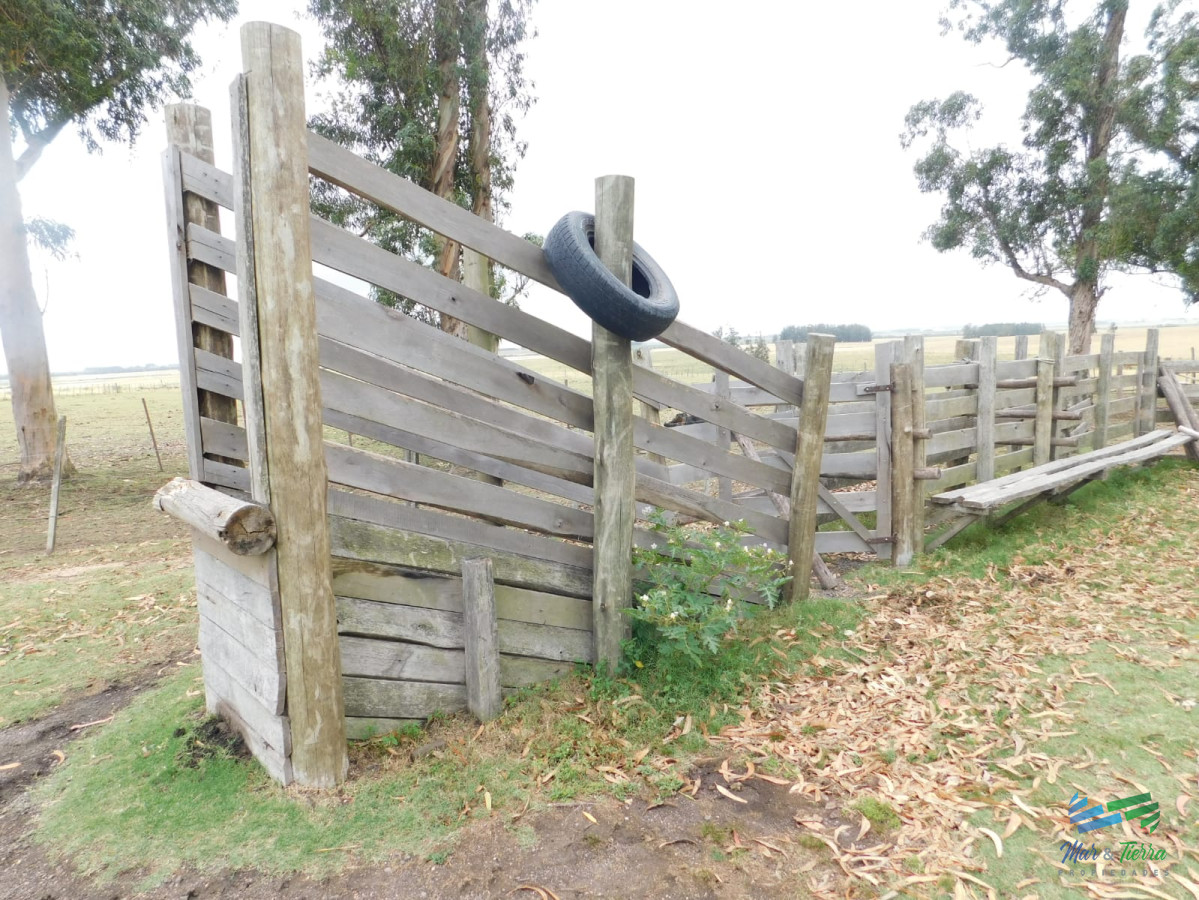 Chacra ID.3680 - 31 Has con casa R.9 (frente entrada Garzon)