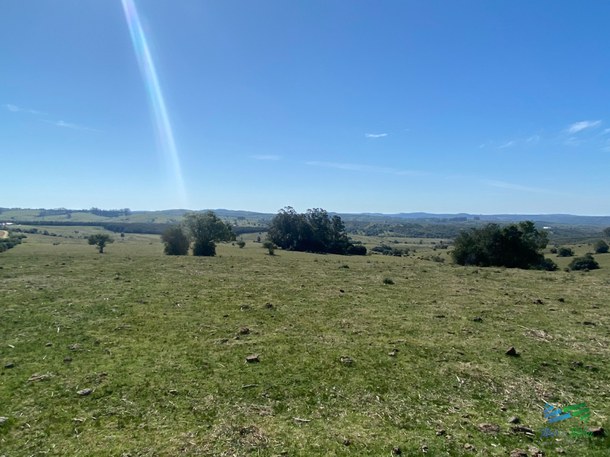 Chacra ID.4546 - Chacras con vistas Únicas, Olivos, Sierras y descanso... !! Atención Precio Rebajado !!