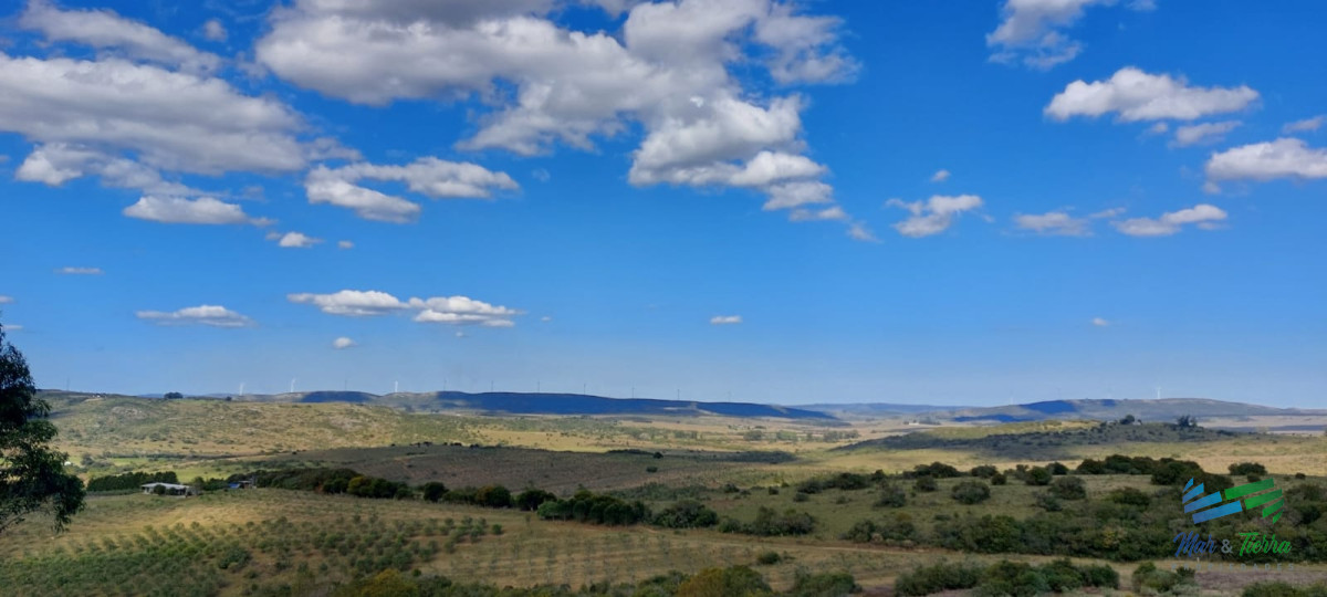 Chacra ID.4140 - 17 Has en plena Sierra de Carape, Monte Nativo y Vistas Privilegiadas