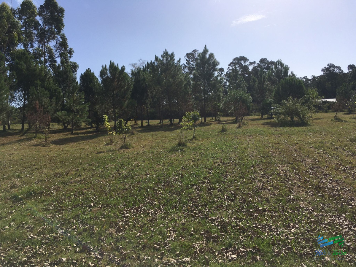 Chacra ID.4560 - Tu Oportunidad de vivir en una chacra a 5 minutos de Punta...
