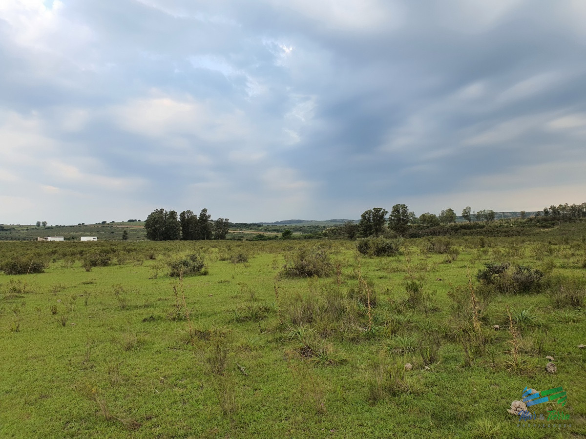 Chacra ID.4349 - Vendo chacra ruta 9, cerca de Pan de Azúcar, Maldonado. A 45´ de Punta del Este. Financia.