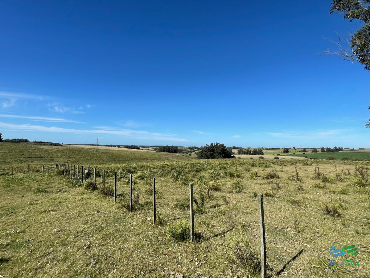 Chacra ID.5248 - Linda Fracción a 15 minutos de José Ignacio, Arroyo y Arbolada, no se la pierda !