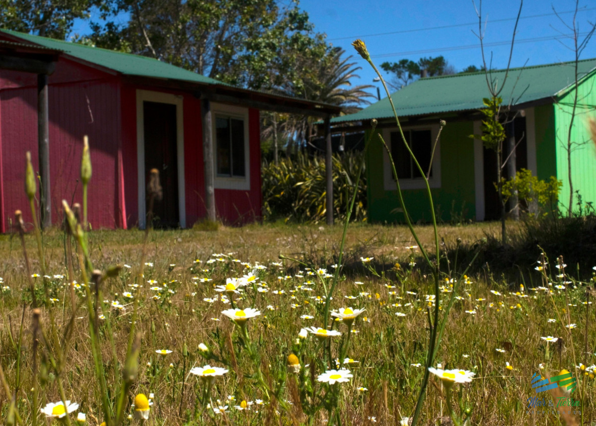 Chacra ID.5688 - Venta de chacra de 10 has frente al mar en Las Flores Piriapolis Maldonado