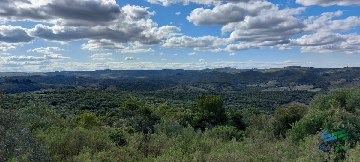 Chacra ID.4140 - 17 Has en plena Sierra de Carape, Monte Nativo y Vistas Privilegiadas