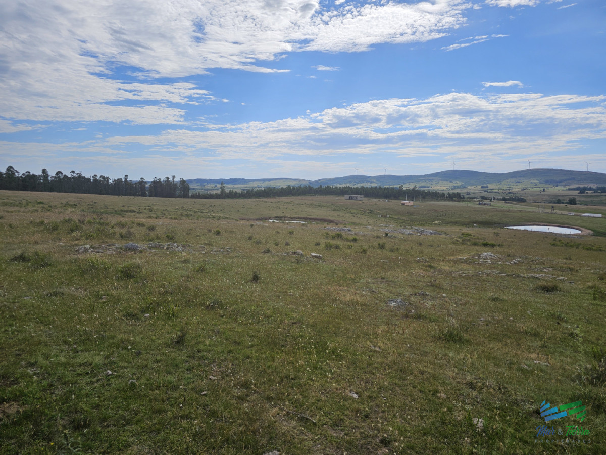 Chacra ID.5635 - En venta chacra 3 hectareas, proxima ruta 39, a pocos km de San Carlos.