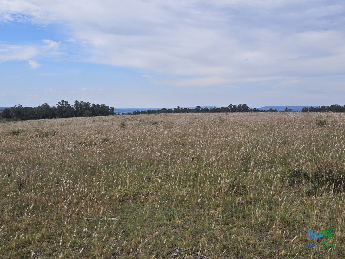 Chacra ID.5629 - En venta chacra 3 hectareas, proxima ruta 39, a pocos km de San Carlos.