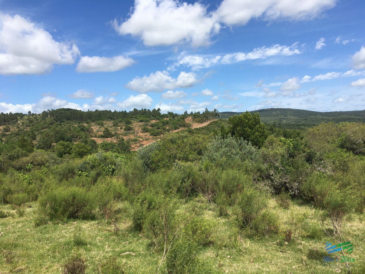 Chacra ID.4144 - Chacras con vistas increibles, monte nativo, naturaleza y tranquilidad