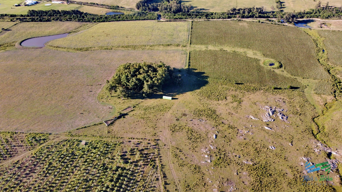 Chacra ID.5018 - Vendo chacra Ruta 9, entre ruta 12 y Pan de Azucar, Maldonado. FINANCIO.