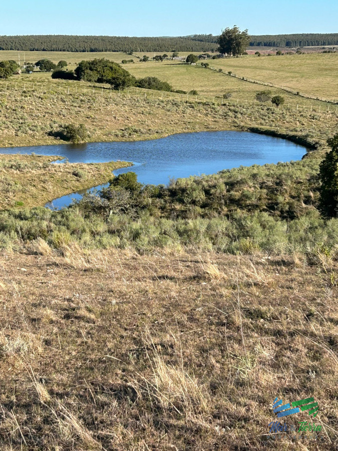 Chacra ID.5360 - Lindo campito de Recreo o para fraccionar a 30 minutos de Punta, Monte Nativo, tajamar y muy buenas vistas !