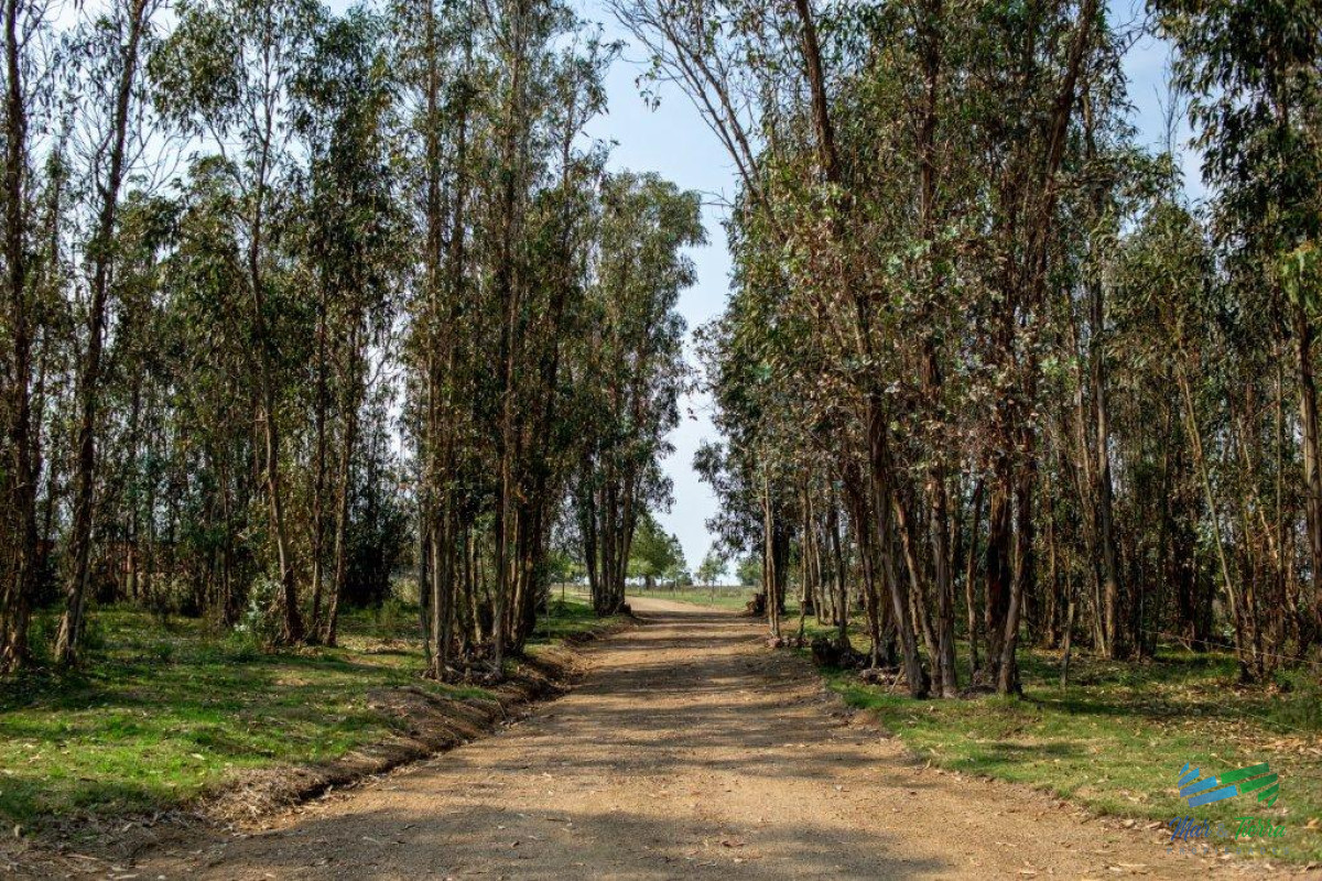 Chacra ID.3877 - 7 Has con casa a 1 hora de Mdeo y Punta.